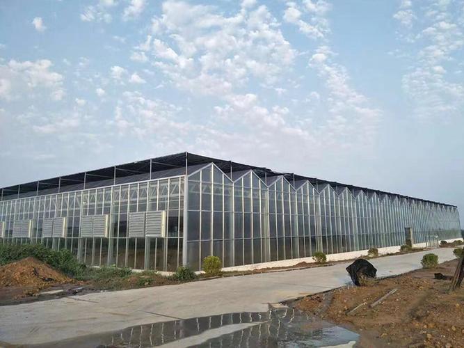 植物工廠的技術(shù)有哪些優(yōu)勢(shì)？